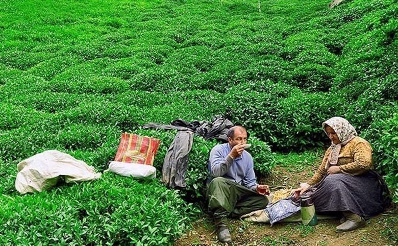 فساد ۳/۷ میلیارد دلاری؛ اژه‌ای: تخلف گروه دبش از سال ۹۸ شروع شده است