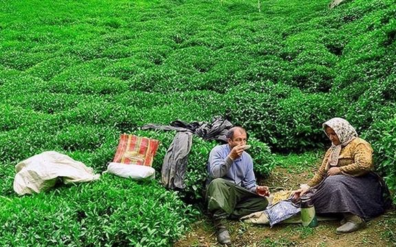 فساد ۳/۷ میلیارد دلاری؛ اژهای: تخلف گروه دبش از سال ۹۸ شروع شده است