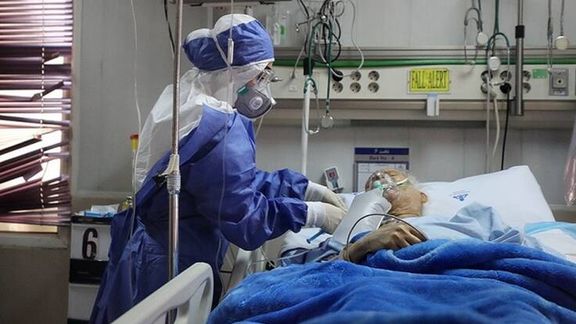 جان باختن ۳۰ درصد مبتلایان به قارچ سیاه در یک بیمارستان تهران