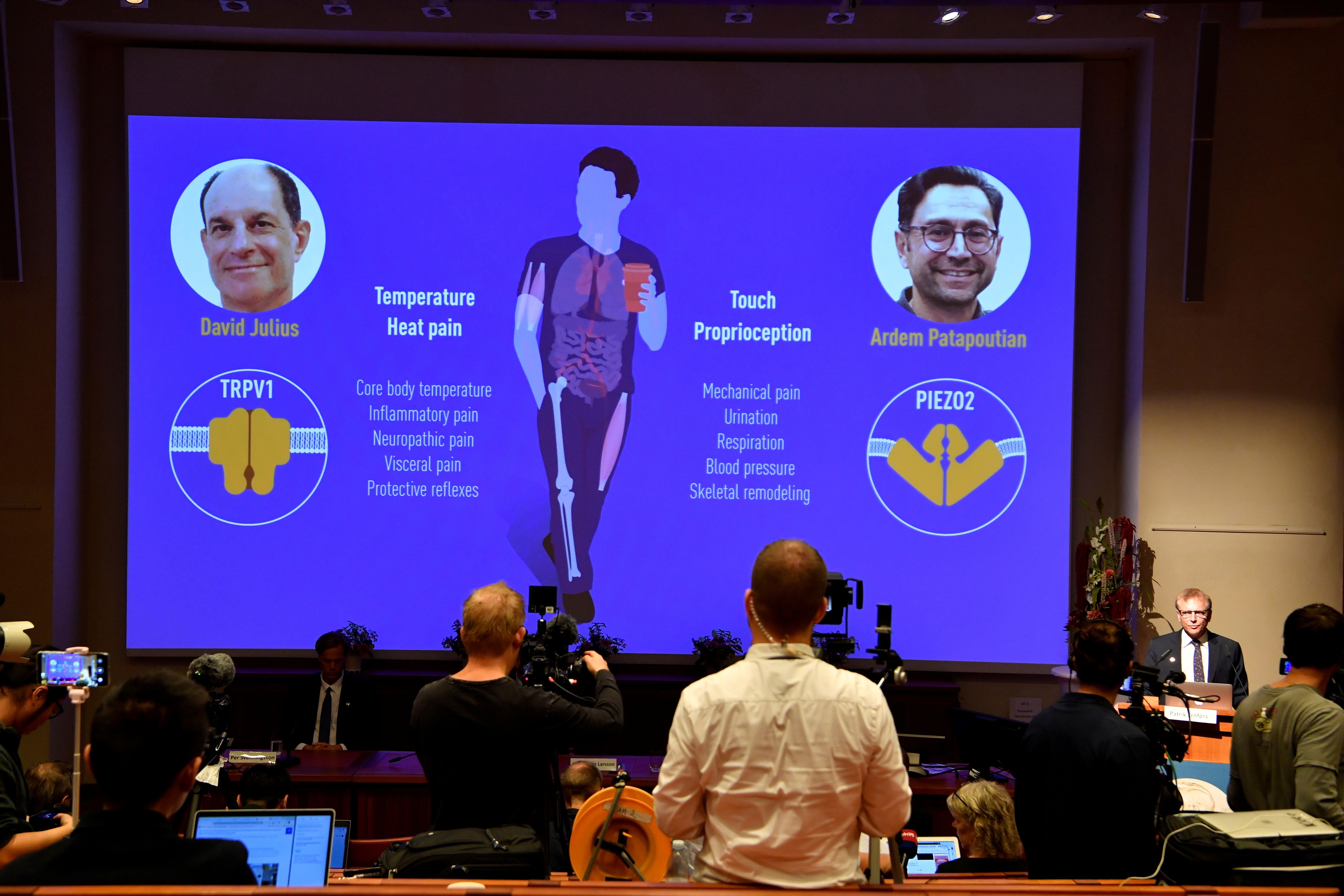 دو دانشمند آمریکایی برای کشف گیرنده‌های جدید دما و لامسه برنده جایزه نوبل پزشکی شدند