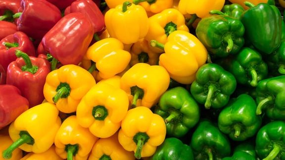 سازمان توسعه و تجارت: برای حل مساله رد شدن محصولات کشاورزی ایران به روسیه میرویم