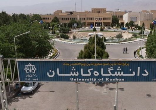 خودکشی استاد دانشگاه کاشان به دلیل مشکلات مالی؛ کانون صنفی: کارد به استخوان رسیده