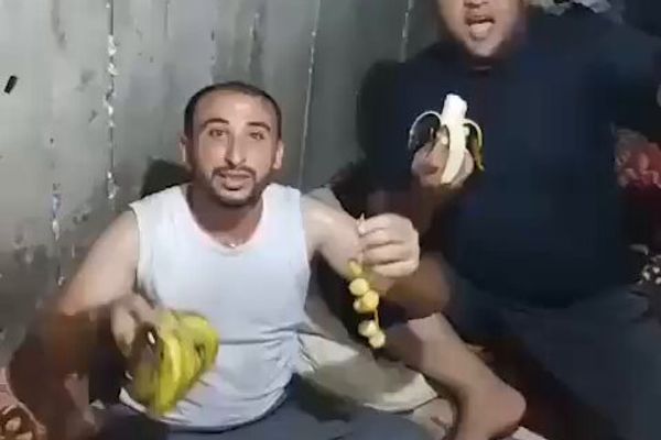 سفیر آمریکا در اسرائیل: نیروهای حماس غذاها را در غزه دزدیدند، خوردند و چاق شدند
