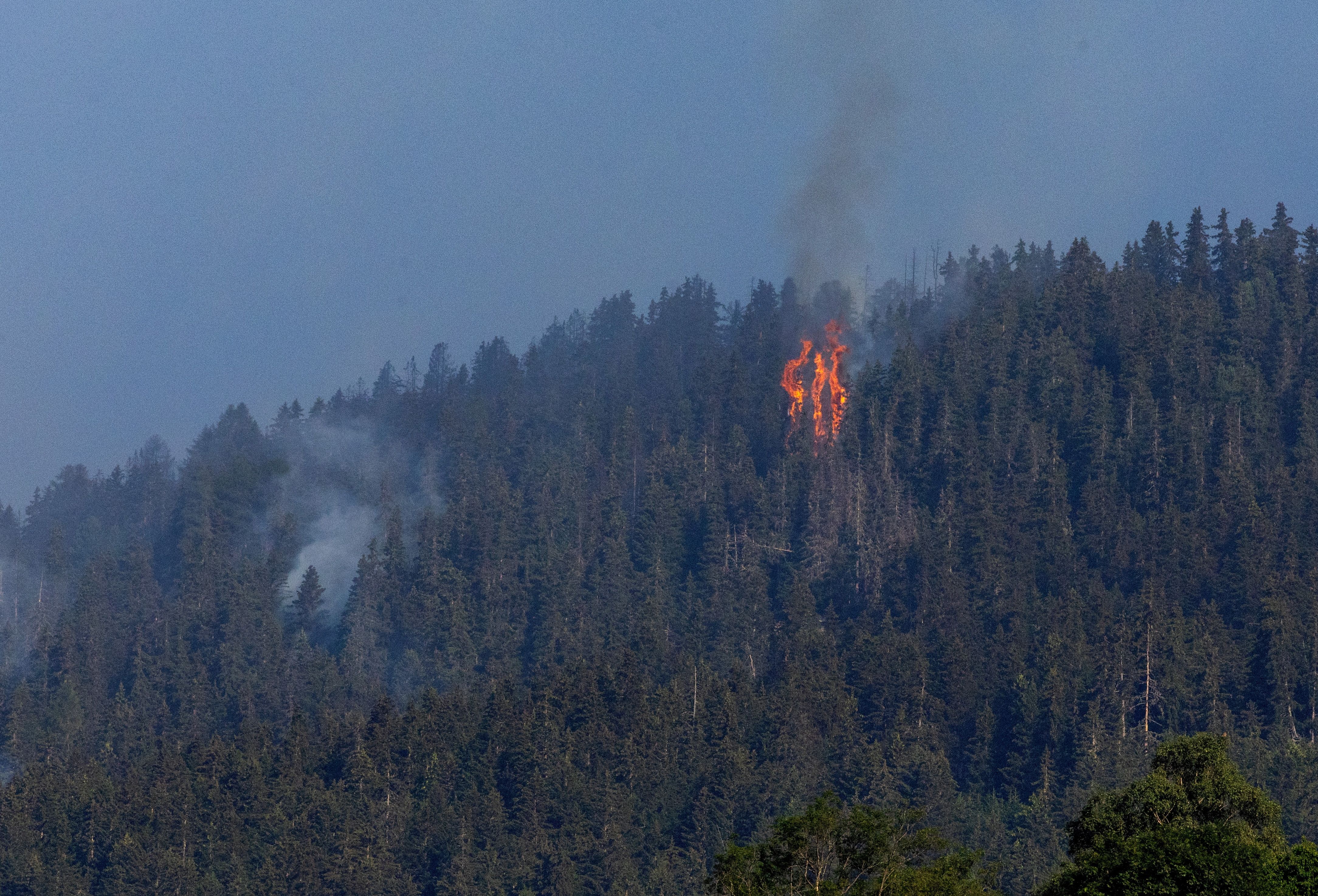 آتش‌سوزی در جنگل‌ها؛ نیم‌کره شمالی زمین به بالاترین میزان گرمای هوا رسیده است