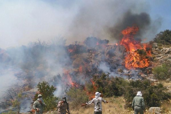 Wind and dry vegetation fuel forest fires in Iran’s Hyrcanian woodlands