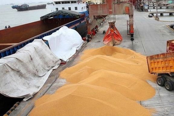 Iran says it has 4 million tons of wheat in strategic reserves