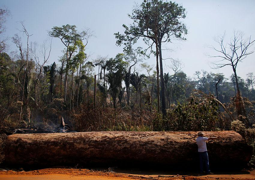 آیا «بازار داوطلبانه کربن» می‌تواند آمازون را نجات دهد؟