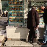 شورایعالی امنیت ملی: رسانهها اخبار مربوط به حملات آمریکا به زیرساختها را سانسور کنند