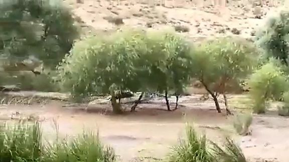 آمار کشتهشدگان سیل استهبان در استان فارس به شش نفر افزایش یافت