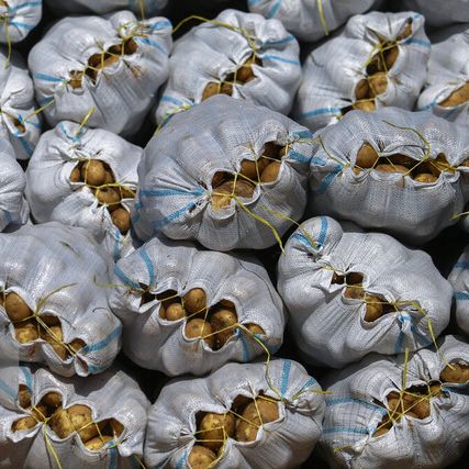 عضو کمیسیون کشاورزی مجلس: محصولات ایران به دلیل ناسالم بودن باز هم برگشت خواهد خورد