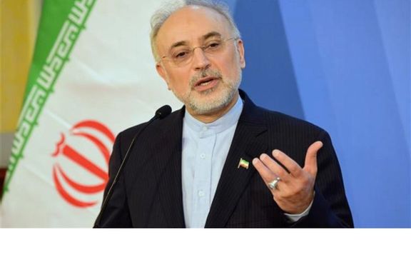علیاکبر صالحی: در مذاکرات هستهای، از موضوع «چه کسی باید قدم اول را بردارد» عبور کردهایم