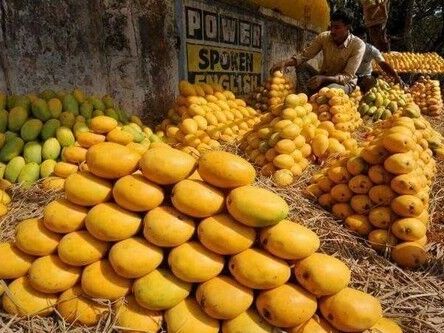 رییس اتحادیه صادرکنندگان نفت: بنزین ایران در مرز با انبه پاکستان تهاتر میشود