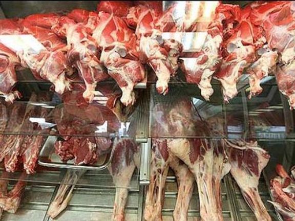 سندیکای صنایع کنسرو: تولید تن ماهی در ایران نسبت به سال گذشته به نصف رسیده است