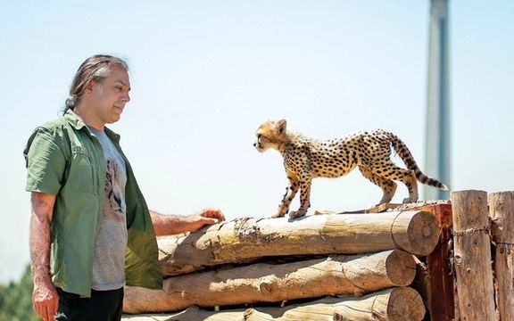 Asiatic cheetah cub Pirouz and Alireza Shahrdari, his main caretaker (file photo)
