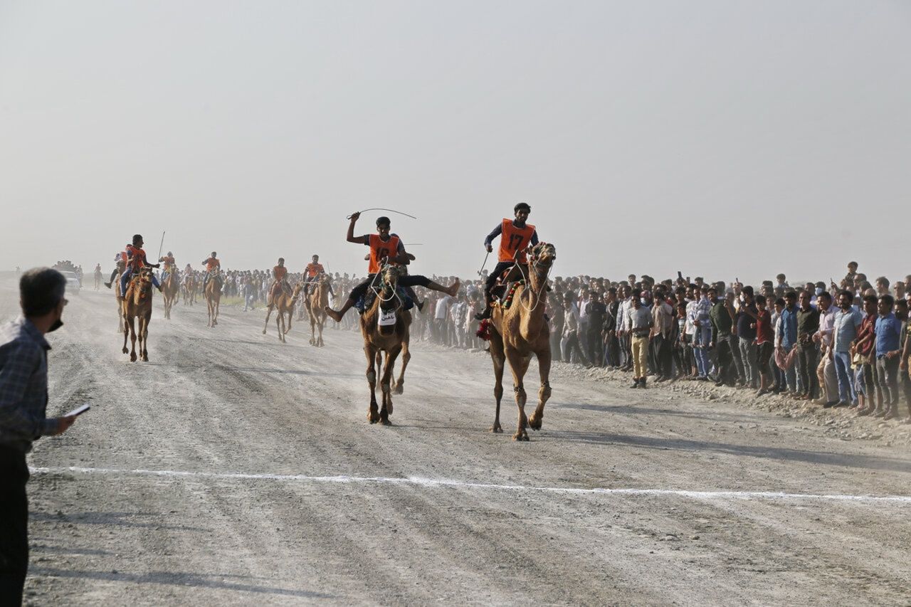 Iranian camel riders set for debut at overseas competition