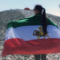 نسل زد، نمادهای ملی را سلاح مبارزه با جمهوری اسلامی کرده است