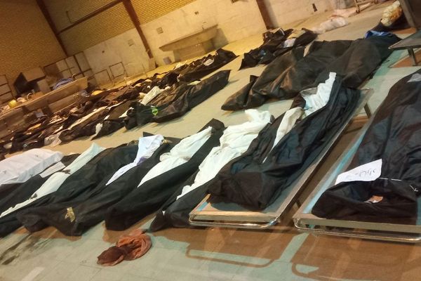 مدیرعامل سازمان بهشت زهرا، شلیک تیر خلاص به معترضان را تایید کرد