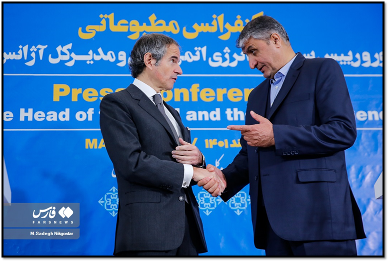 Experts in Iran Display Divergent Responses to IAEA Chief's Visit