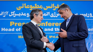 Experts in Iran Display Divergent Responses to IAEA Chief's Visit