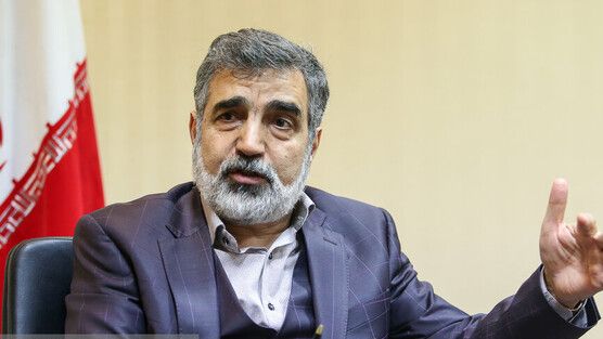 سخنگوی سازمان انرژی اتمی ایران: ذخایر اورانیوم ۲۰ درصد ایران به ۵۵ کیلوگرم رسیده است