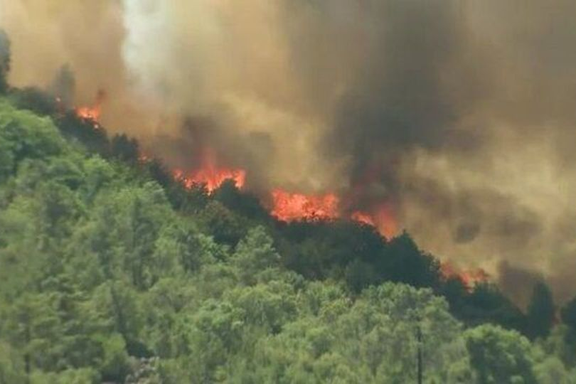 فرماندار کلاردشت: اطفای آتشسوزی جنگلهای کلاردشت در زودهنگام غیرممکن است