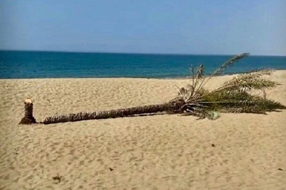 معاون سازمان منطقه آزاد چابهار: حضور افراد بی حجاب عامل تخریب اماکن گردشگری است