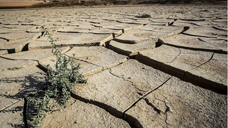 علیآبادی، ادامه فقر مدیریت و بحران برنامهریزی در وزارت نیرو