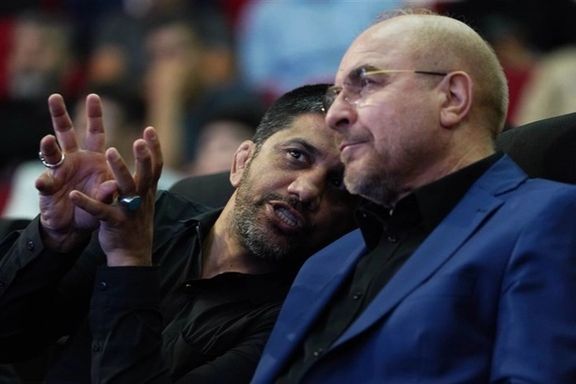 علیرضا دبیر: کشتیگیر کارشناس سیاسی نیست که نظر بدهد، اما رای بدهید!