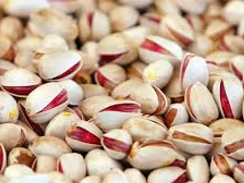 تراجع صادرات الفستق الإيراني لأوروبا والصين بشكل حاد العام الحالي