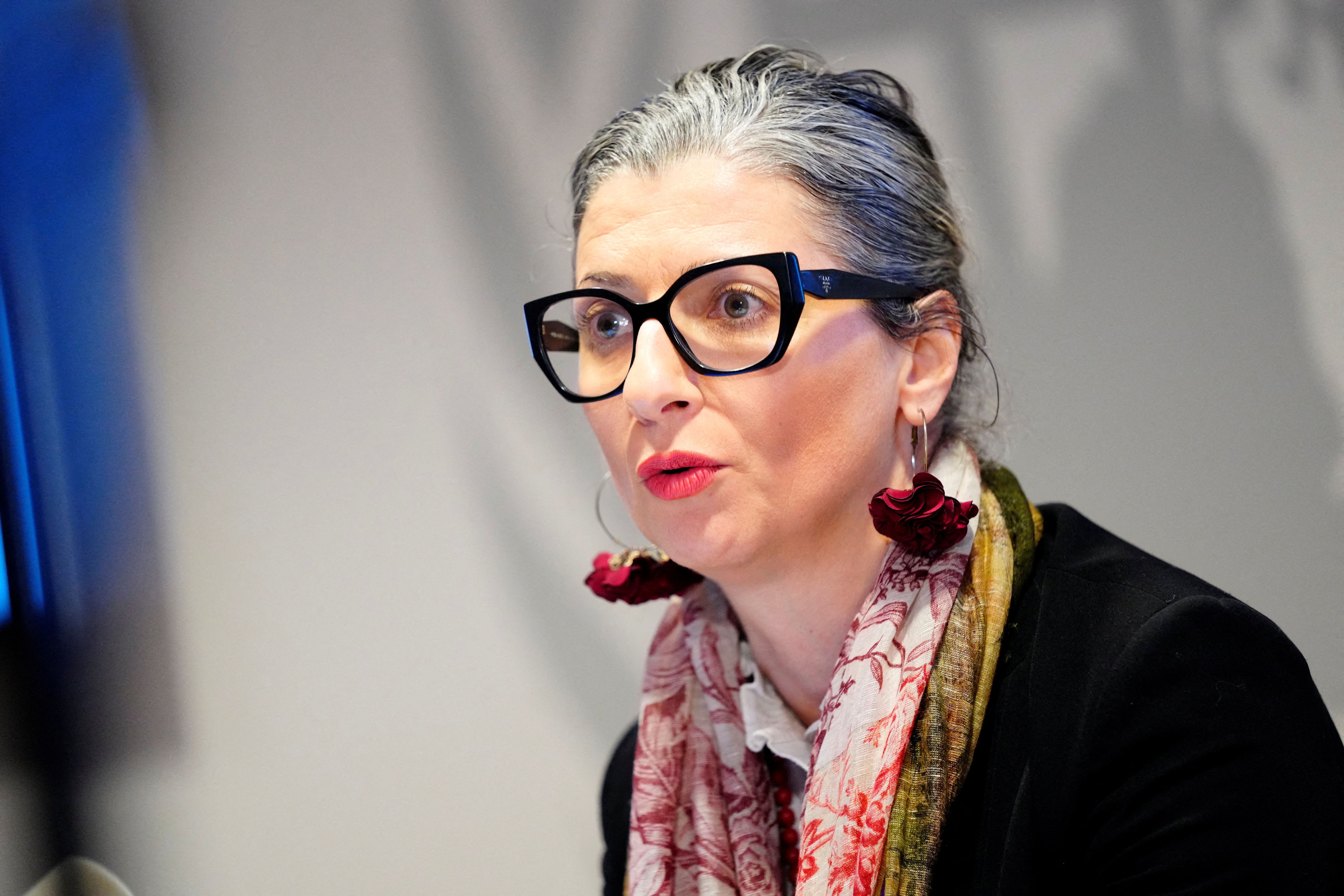 آمریکا گزارشگر سازمان ملل را به‌دلیل انتقاد از جنگ اسرائیل در غزه تحریم کرد