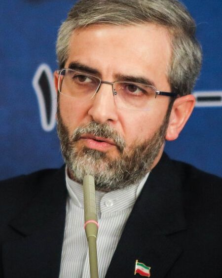 باقری کنی: ایران متن پیشنهادی خود برای توافق را در قالب دو سند به ۱+۴ تحویل داد