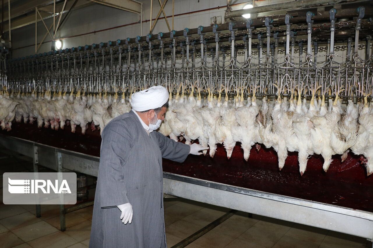 عوارض خاص جمهوری اسلامی؛ از هزینه تماشای کشتار دام تا هزینه آزادسازی مدرک 