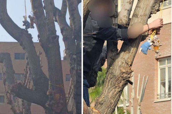 Khamenei ‘rat’ taunt spills from social media onto Iran’s campuses