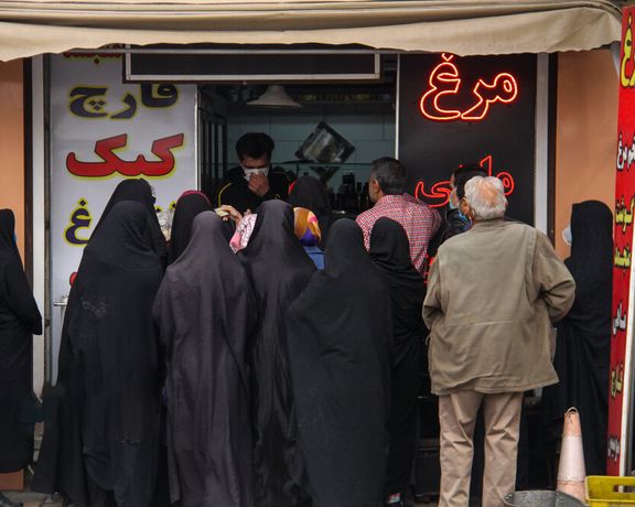 اتاق اصناف: دلیل کمبود شدید و گرانی مرغ در بوشهر، گرانی دان و کاهش تولید مرغداران است