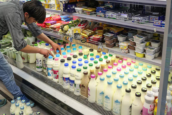 Iran’s foot-and-mouth outbreak cuts milk output as feed shortage deepens