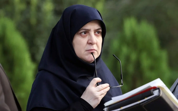 سخنگوی دولت پزشکیان با تاکید بر سرمایه اجتماعی: مذاکرات میآیند و میروند