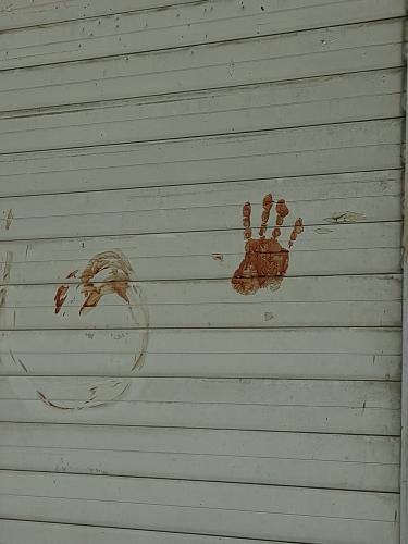 ۳۶ هزار و ۵۰۰ کشته، یعنی چه؟ 