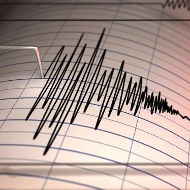 زلزلهای به بزرگی ۴/۶ شهرستان سربیشه و مناطقی از استان خراسان جنوبی را لرزاند