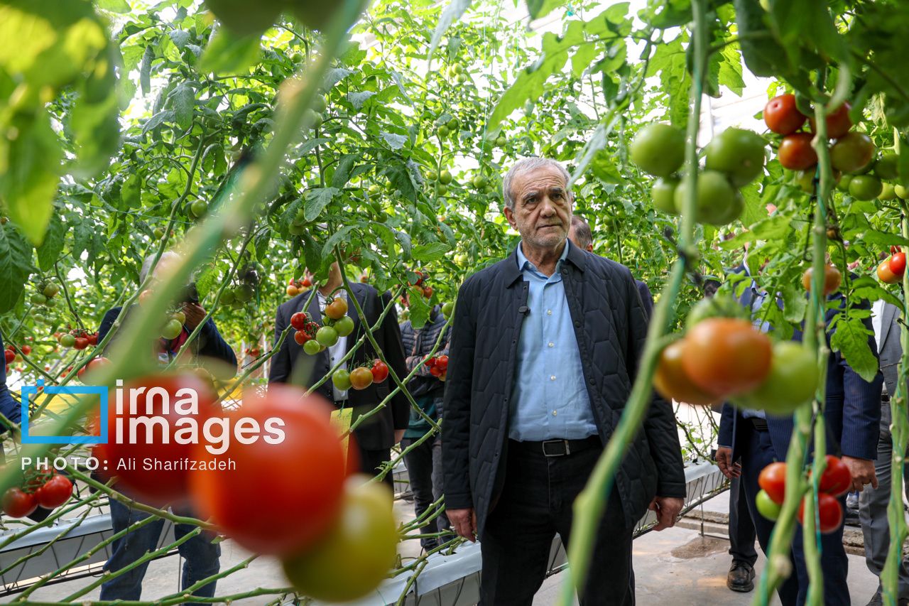 Iran's President Pezeshkian loses role as 'good cop'