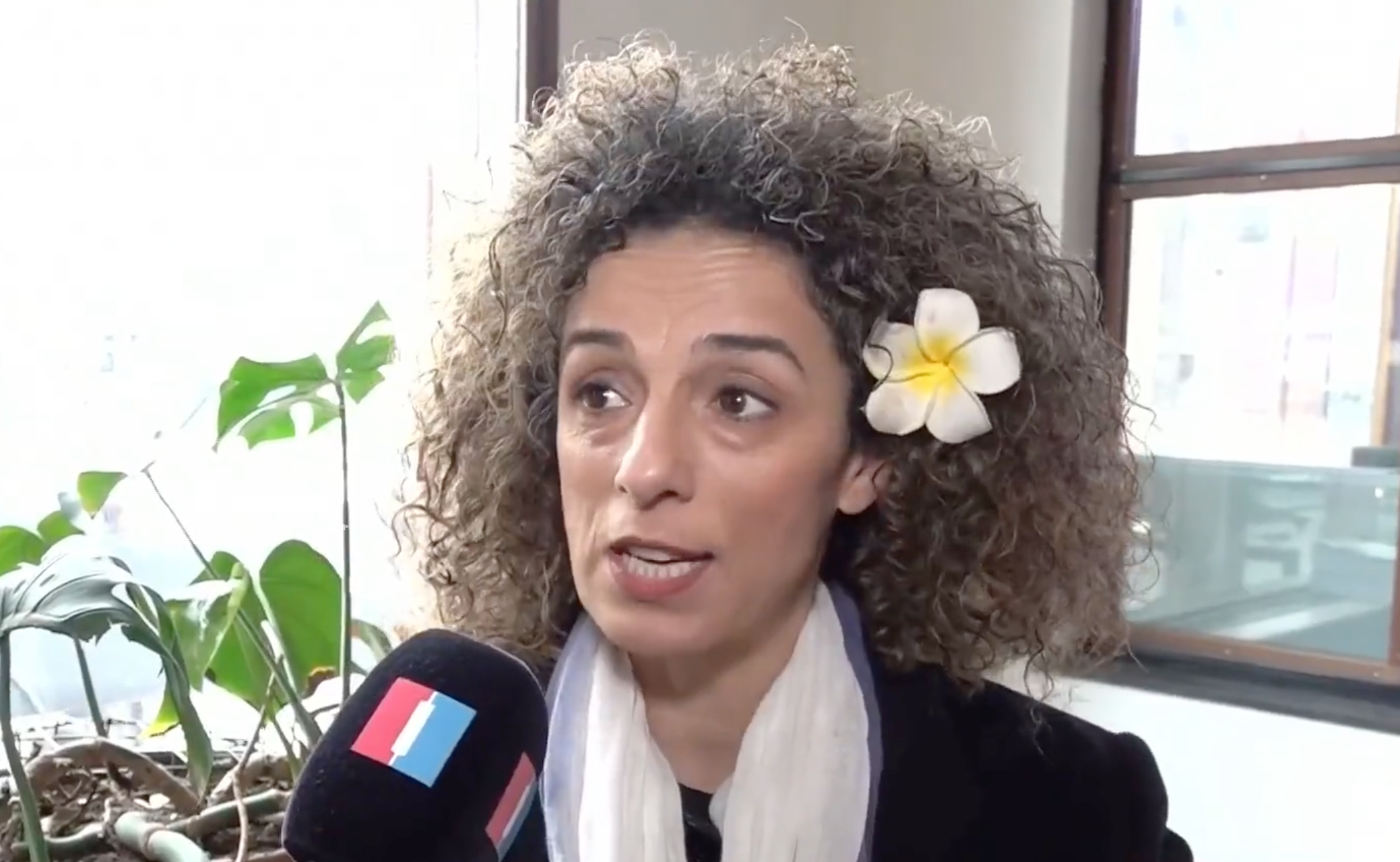 مسیح علی‌نژاد: هلند قول داد اتحادیه اروپا را برای تروریست شناختن سپاه تحت فشار قرار دهد