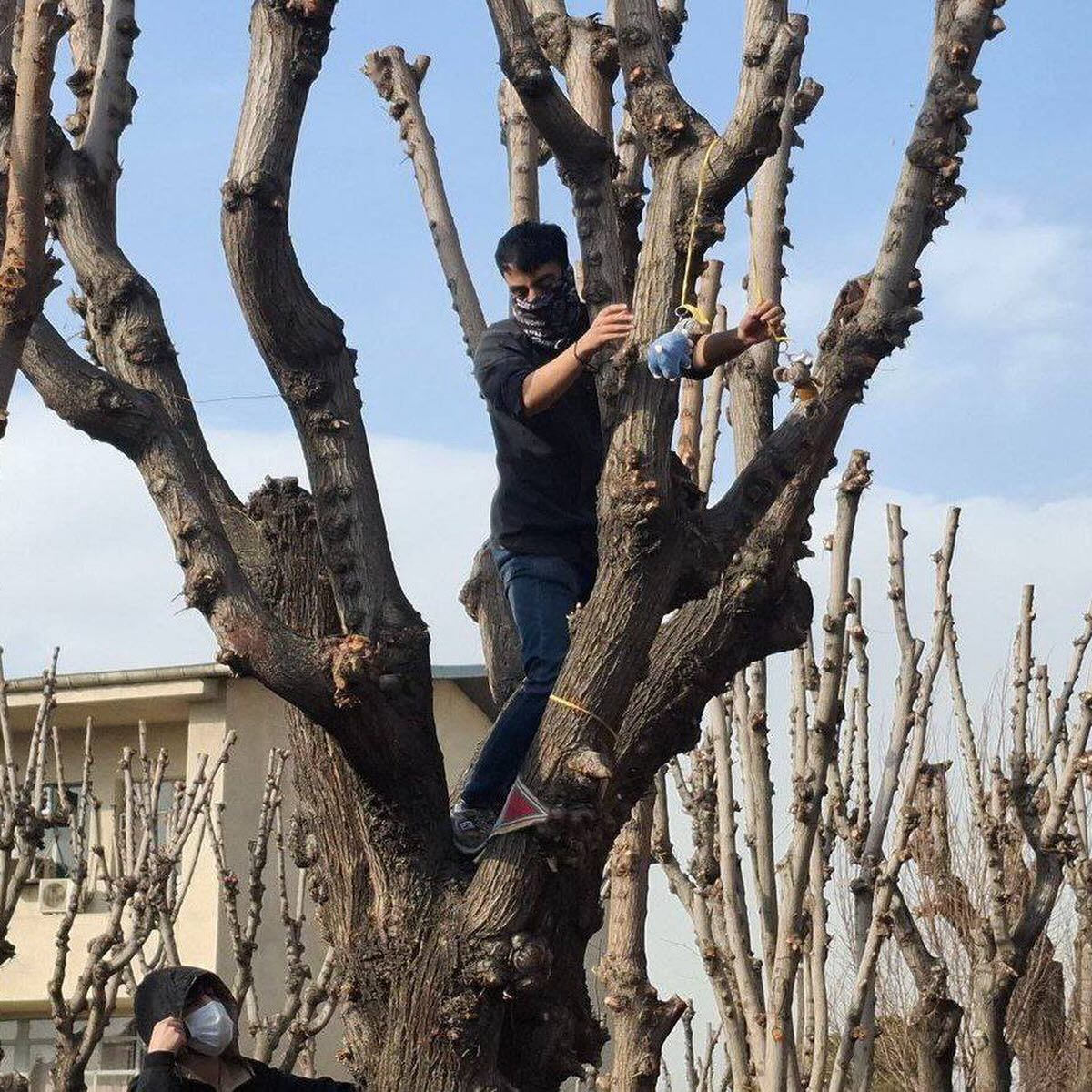 رضا دالمن به‌دلیل آویزان کردن عروسک یک موش و «توهین به خامنه‌ای» از دانشگاه شریف اخراج شد