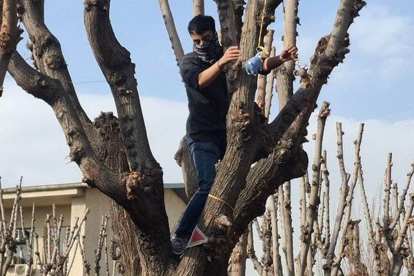 رضا دالمن بهدلیل آویزان کردن عروسک یک موش و «توهین به خامنهای» از دانشگاه شریف اخراج شد