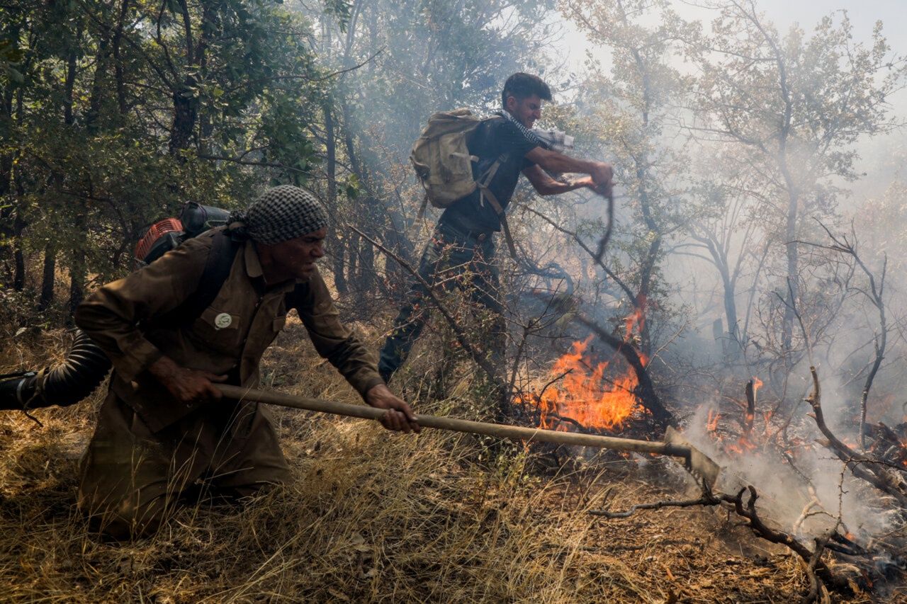 In Iran’s Zagros, villagers fight oak forest fires the state cannot contain