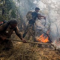 In Iran’s Zagros, villagers fight oak forest fires the state cannot contain