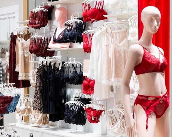 مدیر نظارت بر اصناف خراسان رضوی: یک فروشگاه لباس زیر زنانه به دلیل فروشنده مرد، پلمب شد