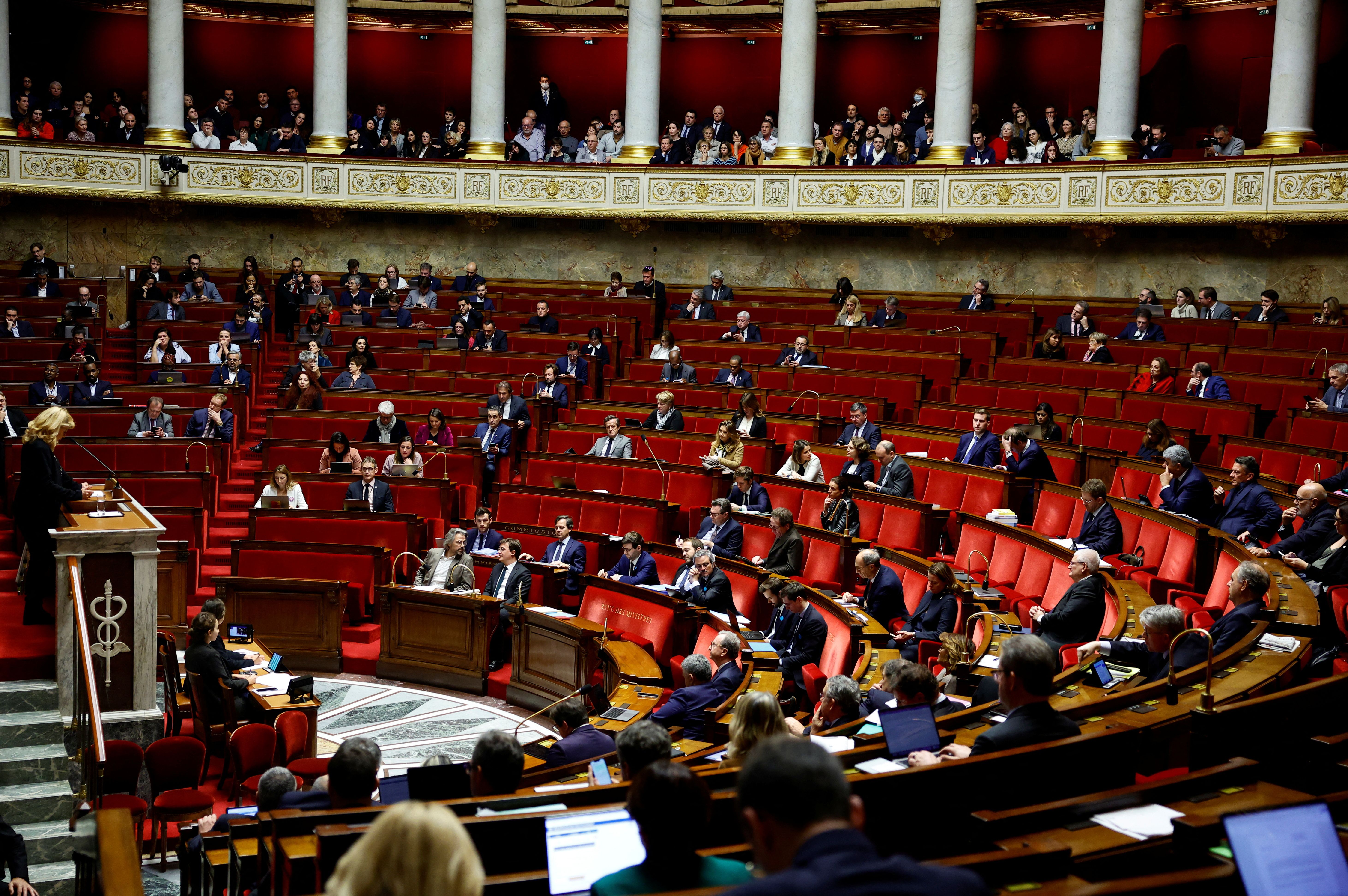  A general view of a session of France's National Assembly in Paris (file photo)