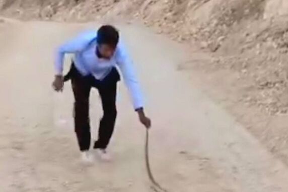 سازمان محیط زیست اعلام کرد به دنبال بازداشت «عمو حسن» به دلیل مار آزاری است