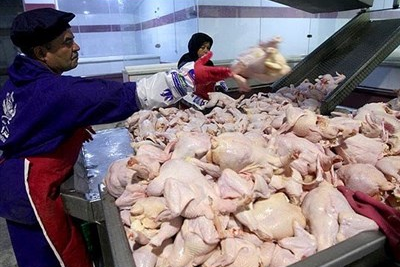 کارگروه ساماندهی مرغ کشور: قیمت هر کیلو سینه مرغ ۴۹ هزار و ۵۰۰ تومان تعیین شد