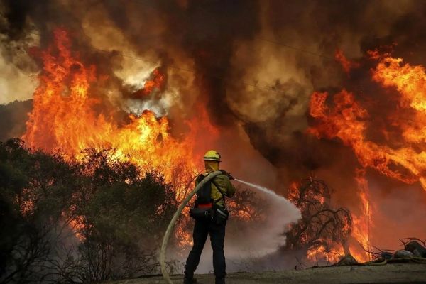 مسؤول إيراني: احتراق 20 في المائة من الأشجار بغابات "إليت"