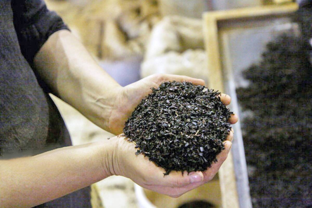 رییس سازمان تعزیرات حکومتی ابعادی جدید از فساد را در پرونده چای دبش فاش کرد